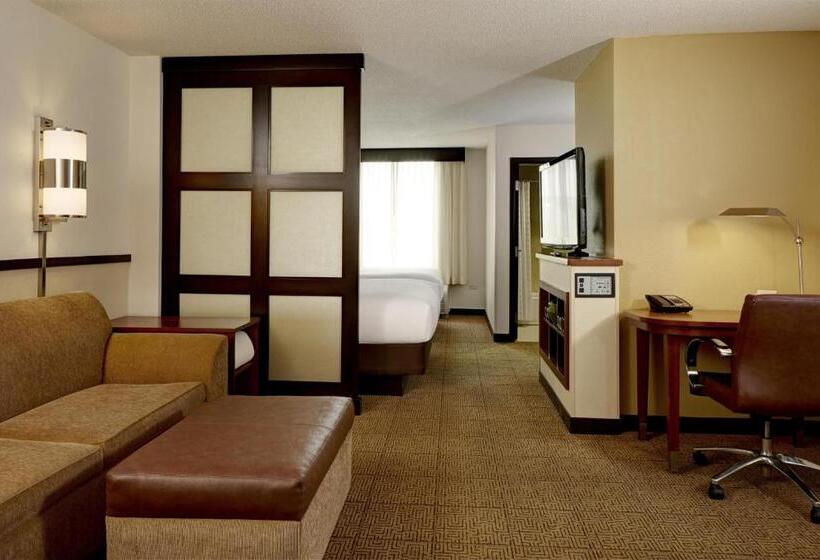 高级寓所标准房间, Hyatt Place Memphis Germantown