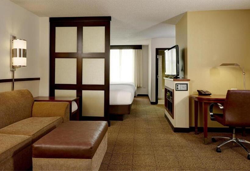 带2个双人床的标准工作室, Hyatt Place Memphis Germantown