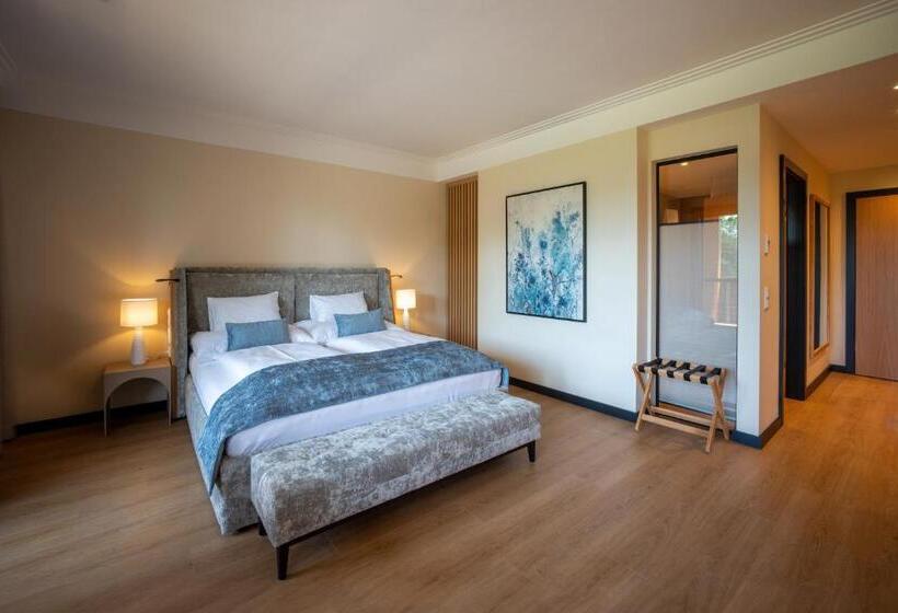 Люкс Повышенной Комфортности, Vila Vita Pannonia