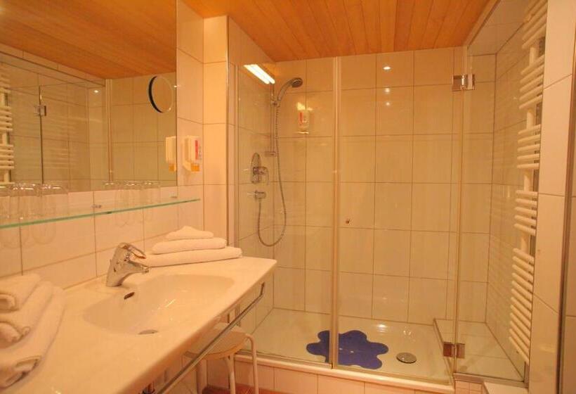 Номер Стандарт Индивидуальный, Sonne Bezau   Familotel Bregenzerwald