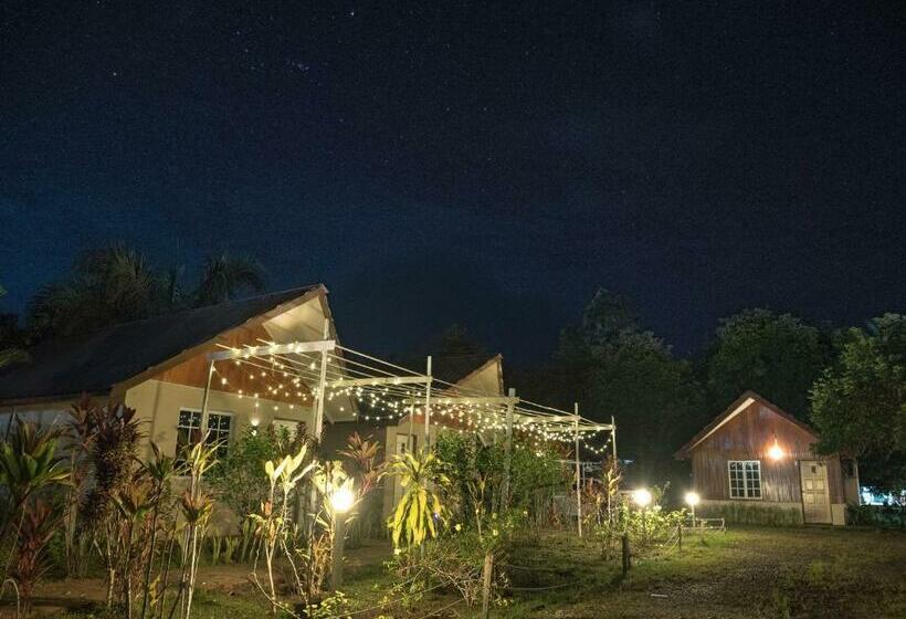 Номер Стандарт Вид на Сад, Timba Garden Free Town And Jetty Transport