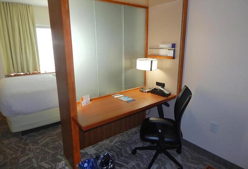 Студио Стандарт Кровать Кинг, Springhill Suites By Marriott Corpus Christi