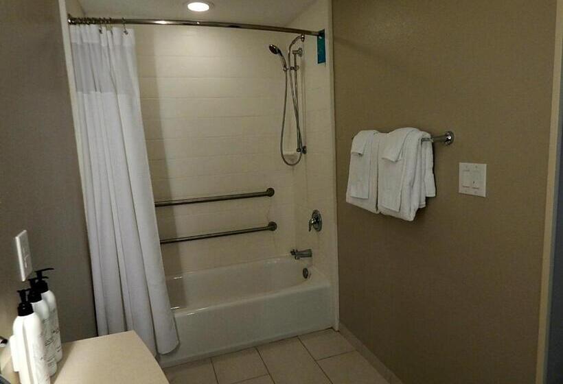 Студия Стандарт, Springhill Suites By Marriott Corpus Christi