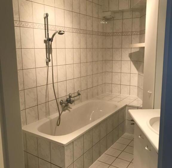 Апартаменты 1 Спальня, Tongerlo