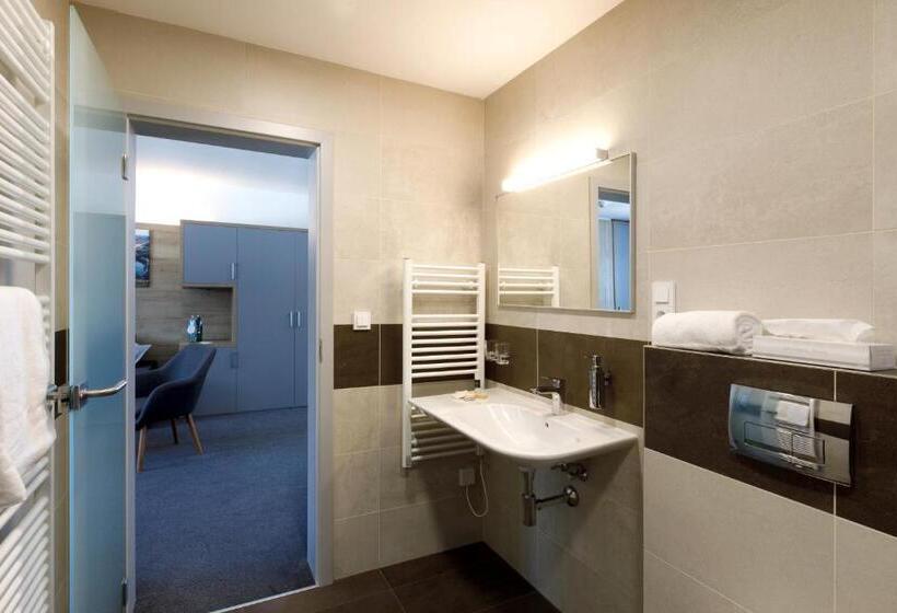 带1个卧室的豪华公寓, Sporthotel Olympia