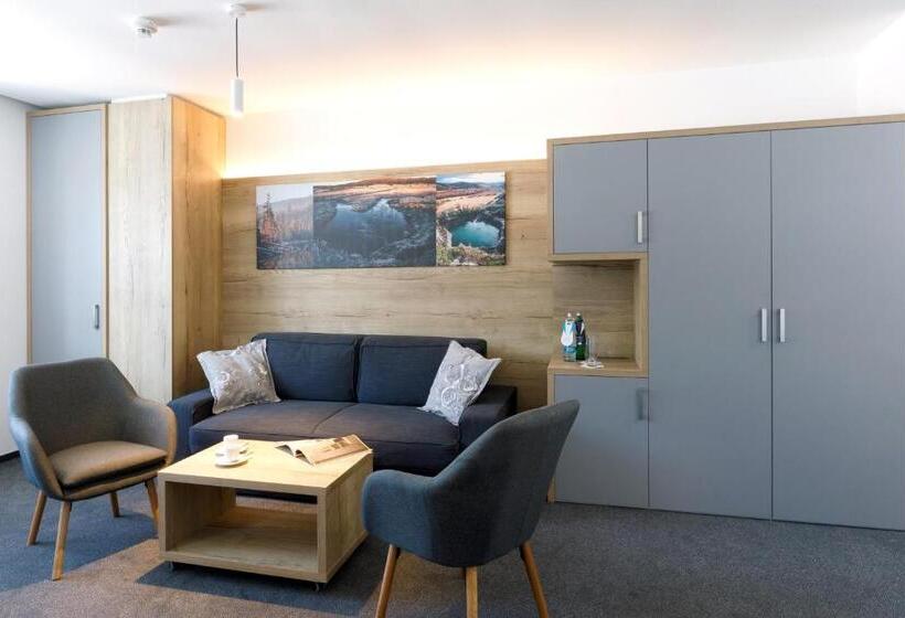 带1个卧室的豪华公寓, Sporthotel Olympia
