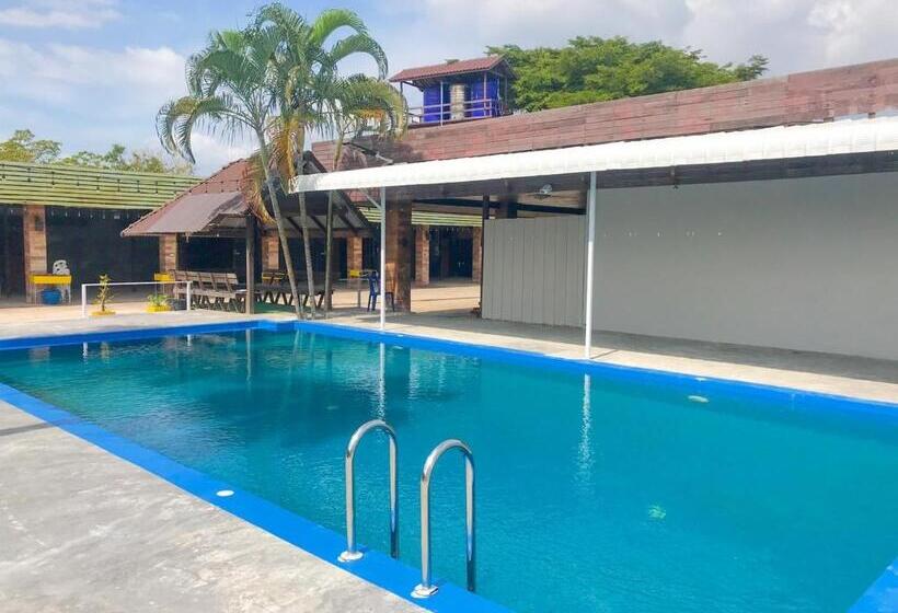 Economy Quadruple Room, Pooma Resort