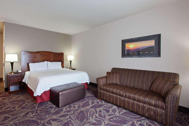 带观景的标准间, Hampton Inn Seattle/everett