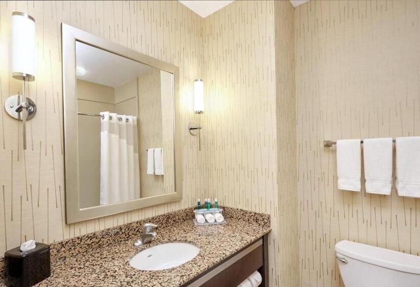 장애인을 위한 킹사이즈 침대 스탠다드 룸, Holiday Inn Express And Suites Columbia University Area, An Ihg