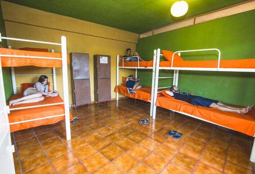 Vuode Makuusalissa, Oasis Hostel