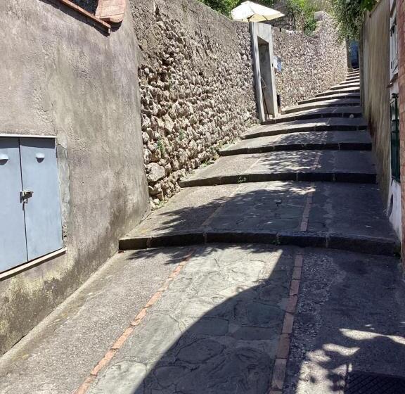 标准单人间, Villa Dei Fiori B&b