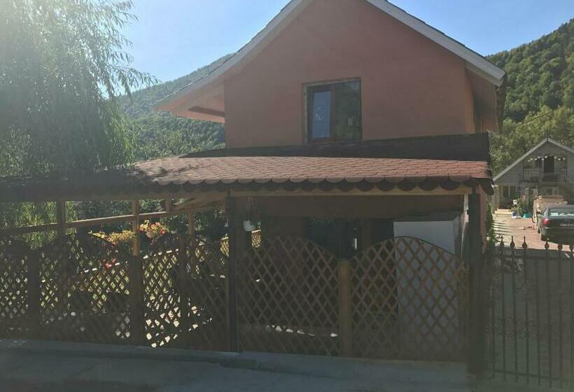 اتاق استاندارد, La Rita Acasă