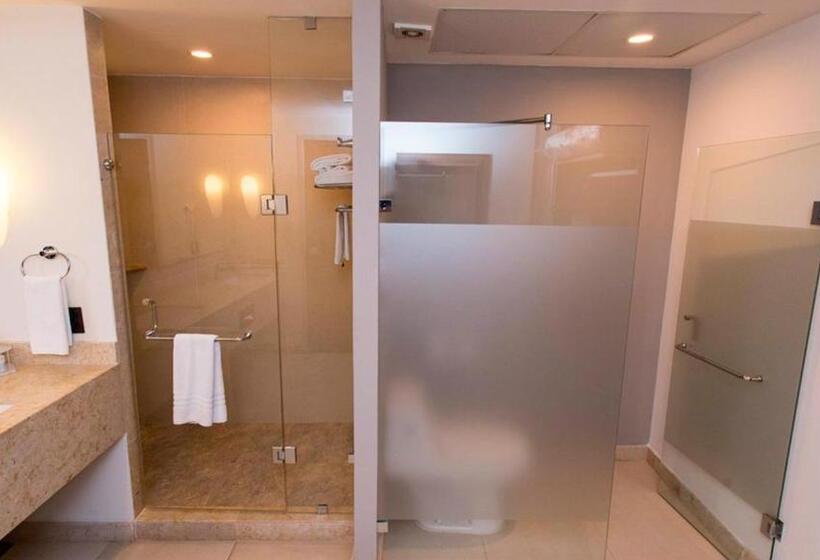 سوئیت اجرایی با تخت کینگ, Holiday Inn Express Puerto Vallarta, An Ihg