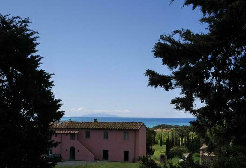 １ベッドルームアパートメント, Agriturismo Podere Gianmaria