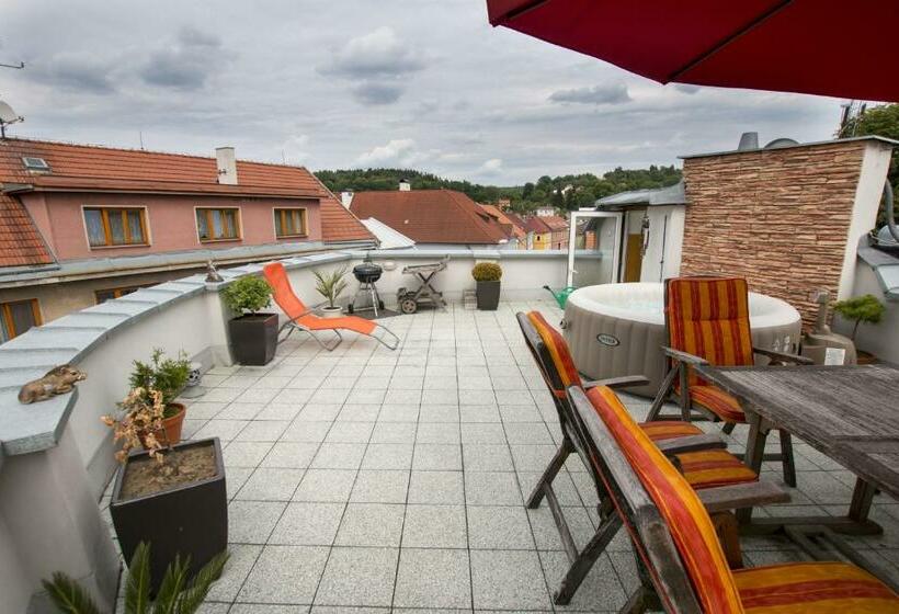 Апартаменты 1 Спальня с Террасой, Pension U Lašanů