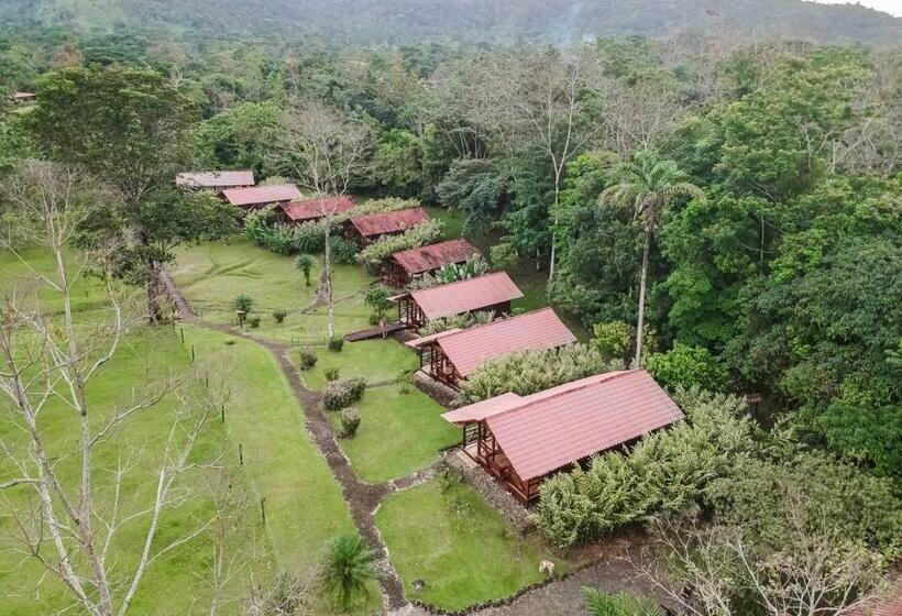스탠다드 룸, La Anita Rain Forest