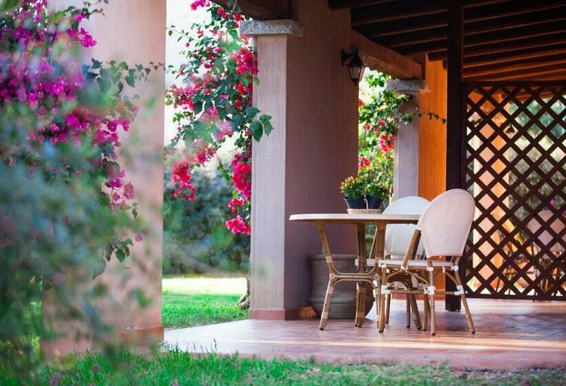 Студия Стандарт, S Incantu Resort