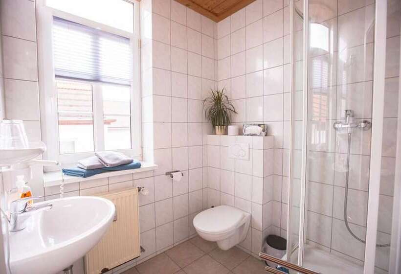 Номер Стандарт, Pension Friedrichshof