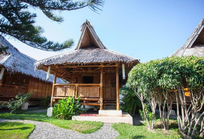 Номер Стандарт, Pura Vida Beach & Dive Resort