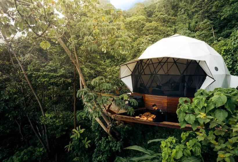 家庭套房, Trekker Glamping