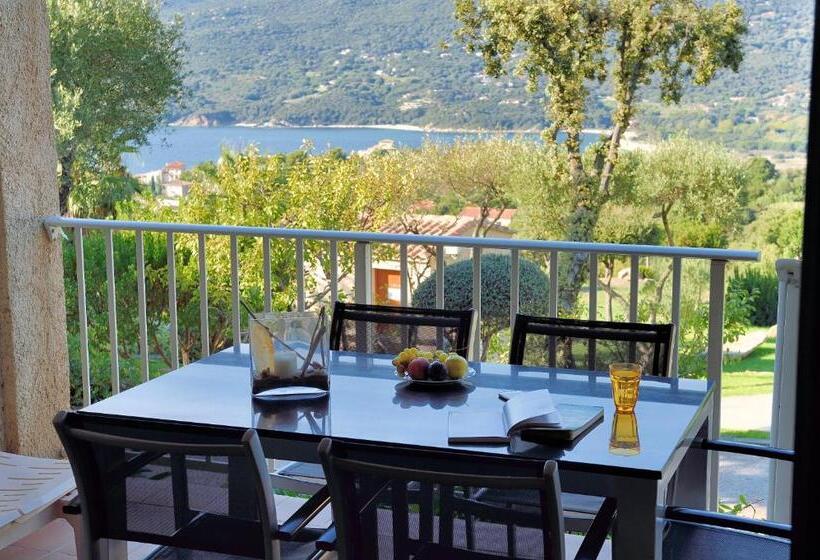 Апартаменты 1 Спальня Нижний Этаж, Résidence & Hôtel Aria Marina
