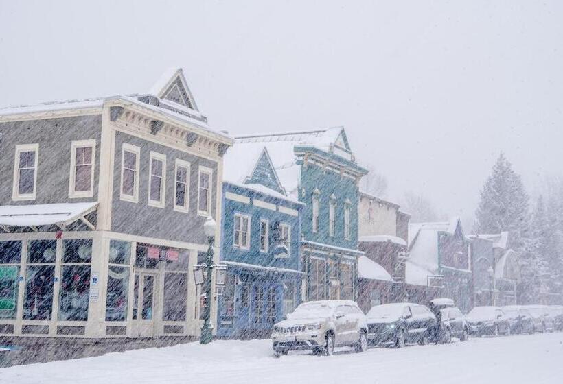 استودیوی استاندارد, Cozy Pet Friendly King Studio In Mt, Crested Butte Condo