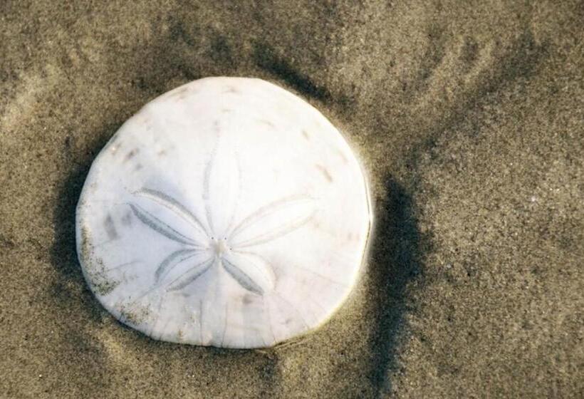 Апартаменты 3 Спальни, Sea Oats
