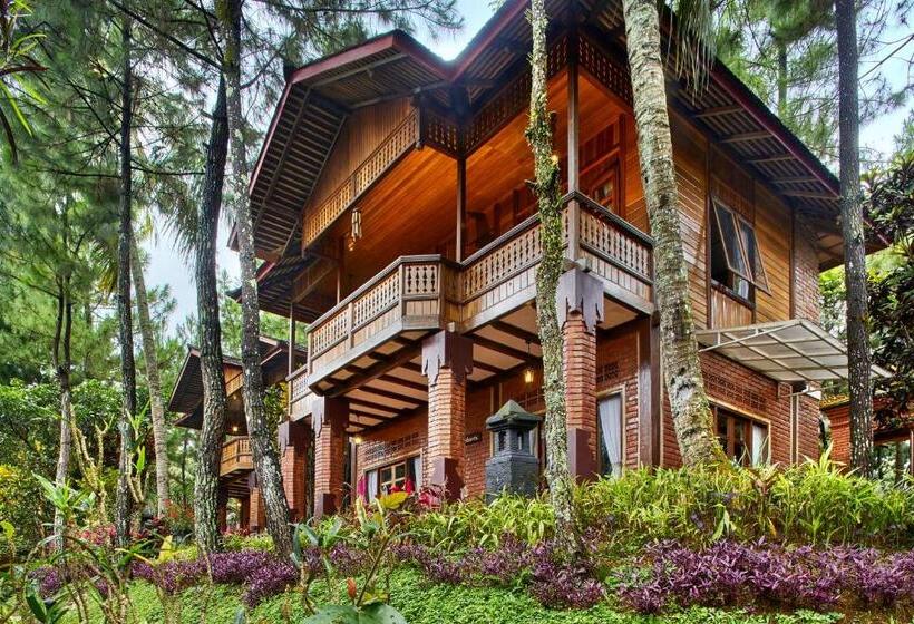 Вилла 1 Спальня, Jambuluwuk Convention Hall & Resort Puncak