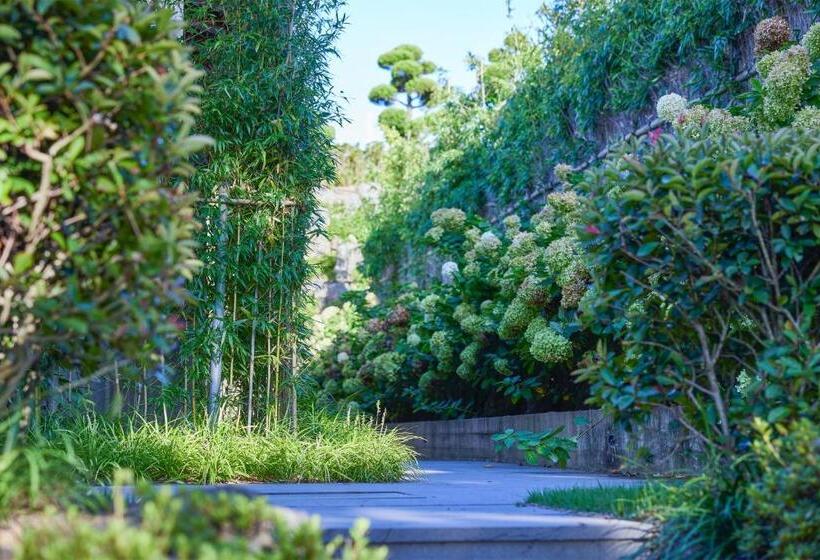 Номер Стандарт, Amber Pure Hill Hotels & Resorts Jeju