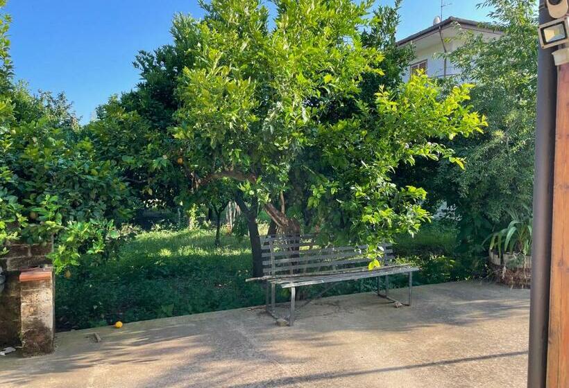 Стандартный Номер Кровать Кинг, Mezzaluna Guest House