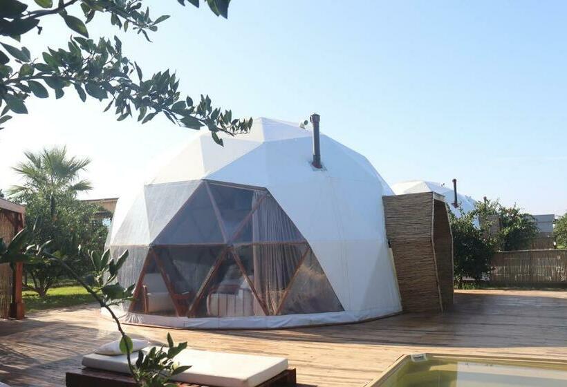 Номер Стандарт Вид на Сад, Mandalin Glamping