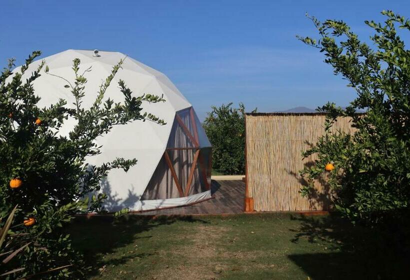 Номер Стандарт Вид на Сад, Mandalin Glamping