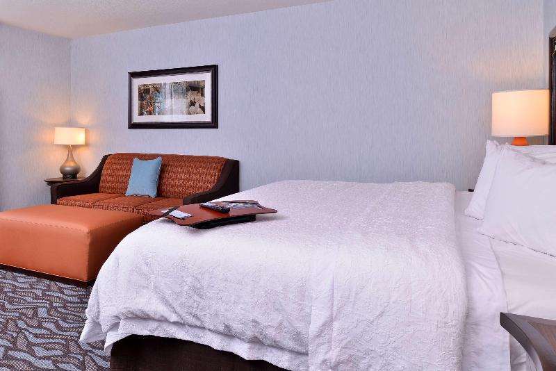 스탠다드 룸 킹사이즈 침대, Hampton Inn Rome