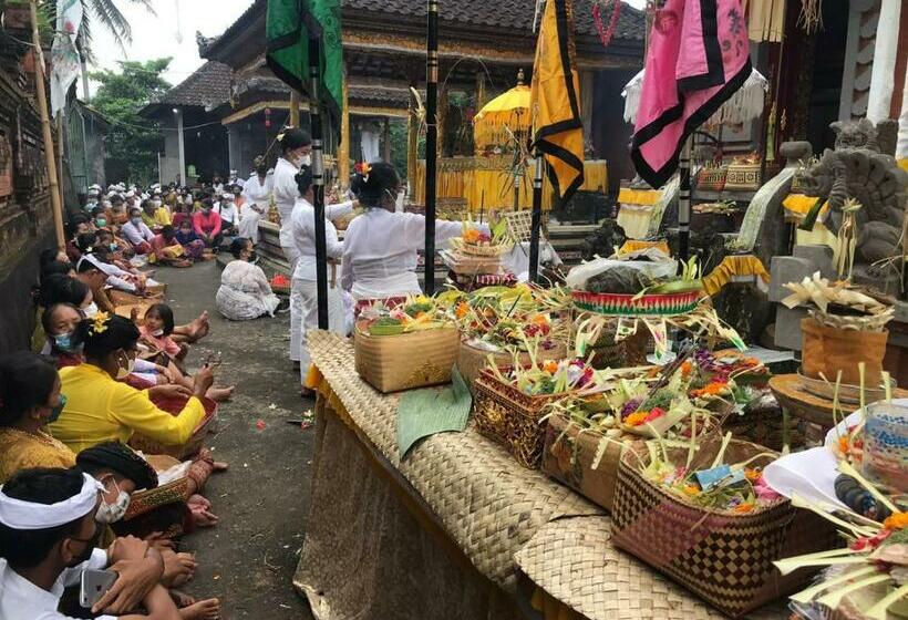 Номер Стандарт Индивидуальный, Bali Livin,tayehomestay