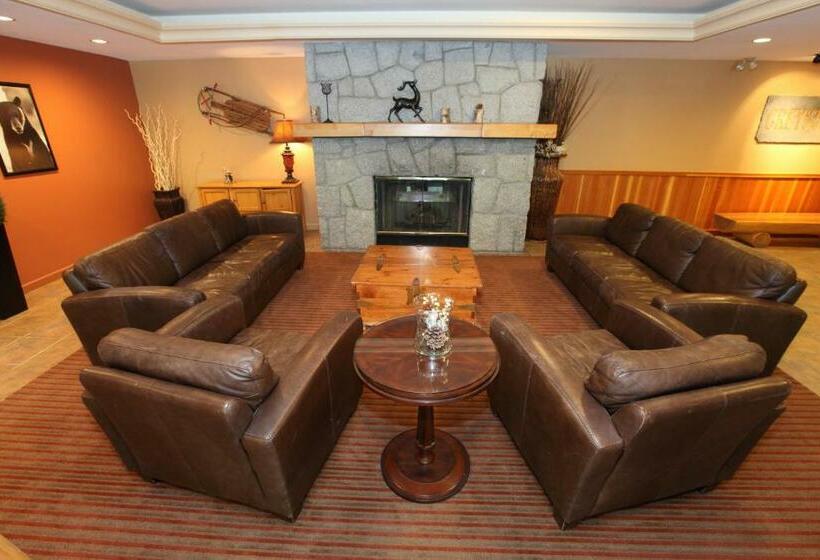 استودیوی استاندارد, Greystone Lodge