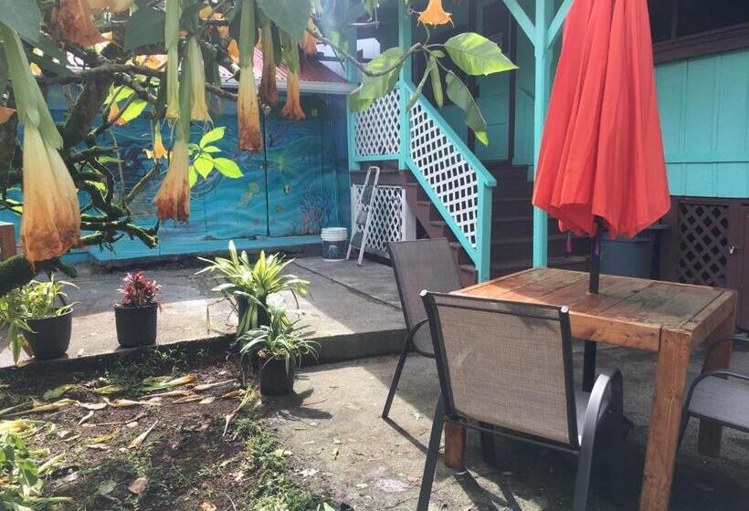 Номер Стандарт Совместная Ванная, Pahoa Village Hostel