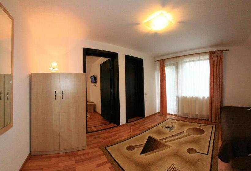 Апартаменты 1 Спальня с Балконом, Casa Dintre Vai