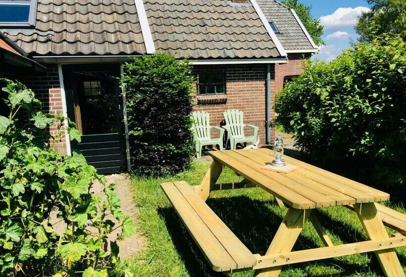 패밀리 스튜디오, Onder De Appelboom