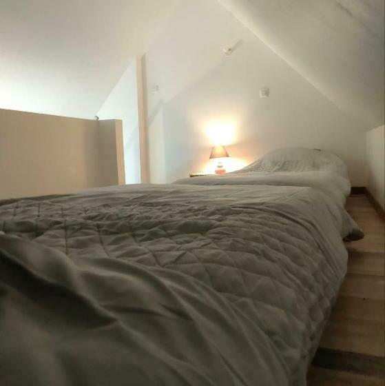 Студия Стандарт, Studio Cosy