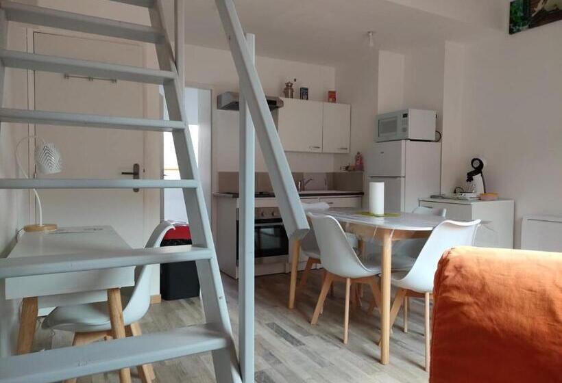 Студия Стандарт, Studio Cosy