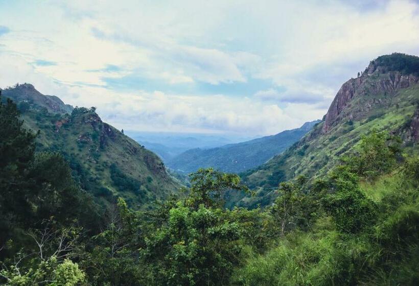 اتاق استاندارد با تخت بزرگ, Green Hill