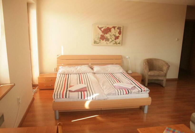سوییت با چشم‌انداز باغ, Penzión Villa Agnes