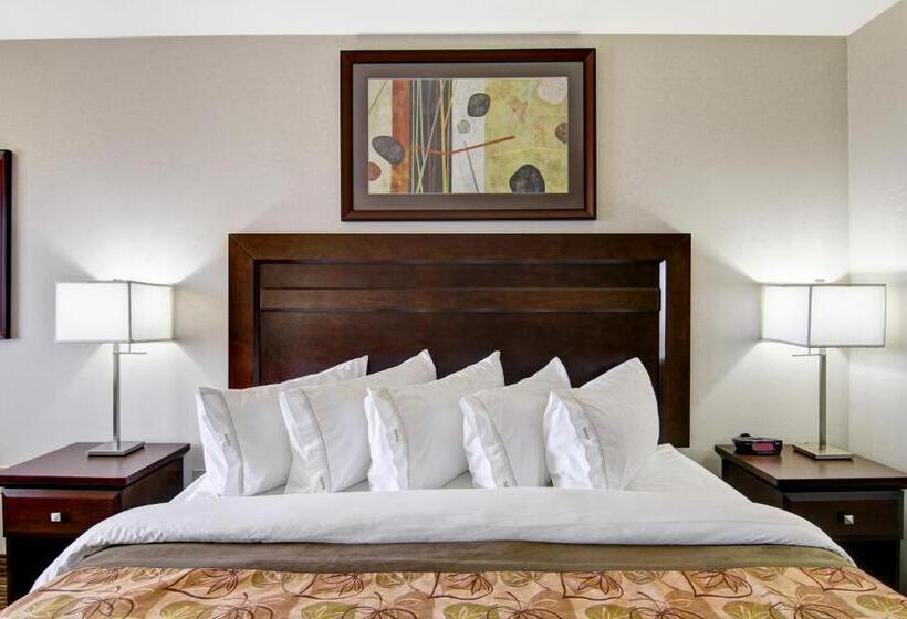 غرفة قياسية سرير كينج, Coast Weyburn