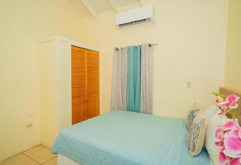 اتاق اکونومی, Connie's Comfort Suites