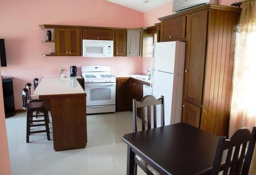آپارتمان 1 خوابه, Piarco Village Suites