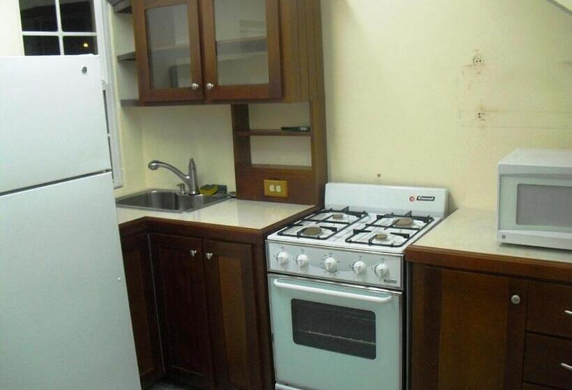 آپارتمان 1 خوابه, Piarco Village Suites