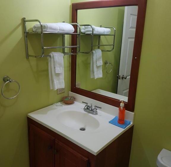 اتاق استاندارد یک نفره, Piarco Village Suites