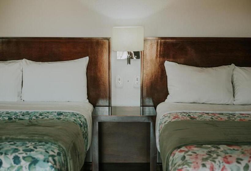 デラックススイート, Hacienda Los Olivos, Valle De Guadalupe