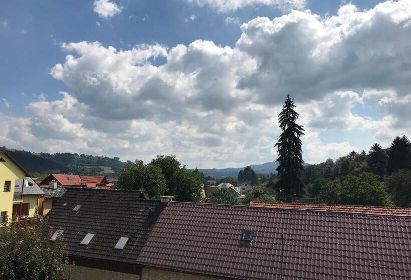 Номер Стандарт Вид на Горы, Ubytování U Valašských Ponožek
