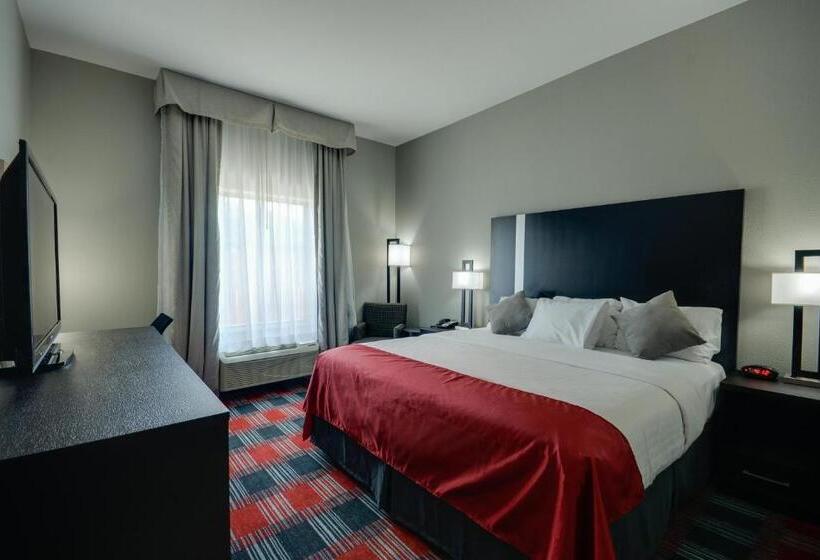 Номер Стандарт Кровать Кинг Адаптированный для Инвалидов, Best Western Casino Inn